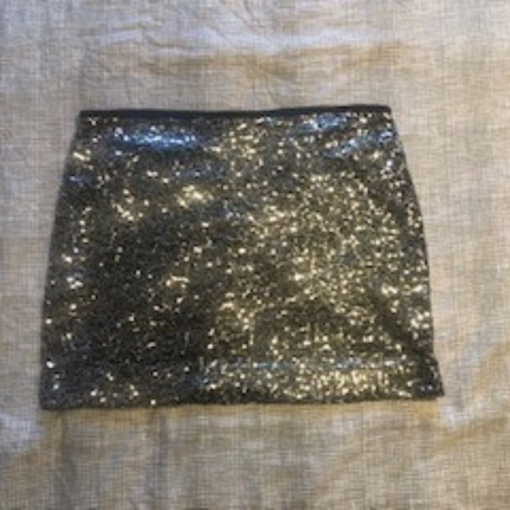 Express Sequin Skirt